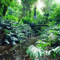 Jardín Botánico-Histórico La Concepción. Imagen cedida por Eduardo Grund