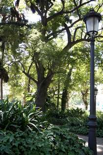 EL PARQUE DE MÁLAGA (PARCO DI MALAGA)