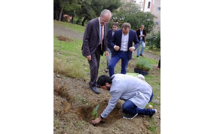 Reforestación de los parques periurbanos de la ciudad.