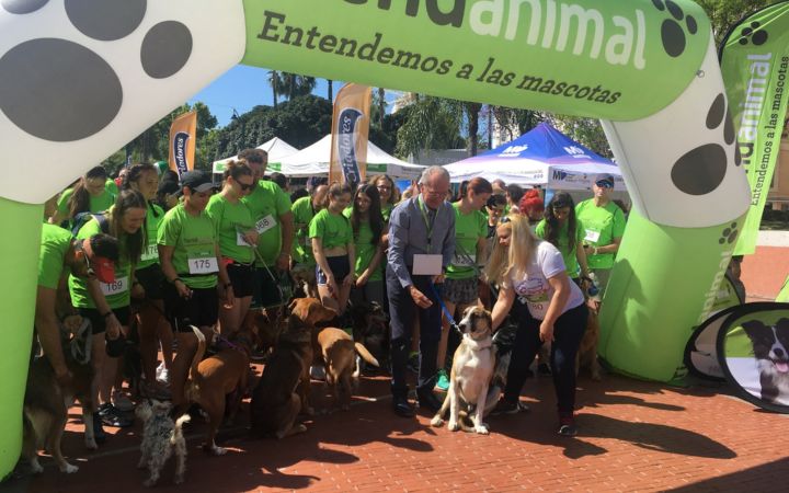 Carrera popular con perros por las calles del Centro Histórico en la que ha participado el alcalde de Málaga