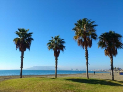 pedregalejo-acacias