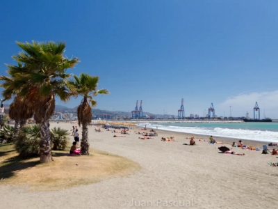 playa-san-andres