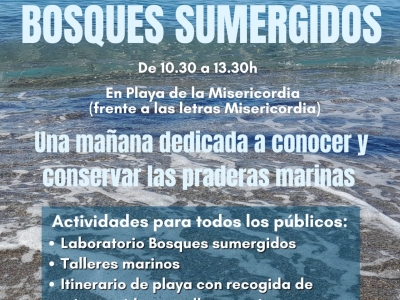 Cartel jornada 9 julio Misericordia