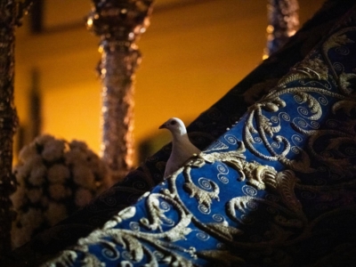 La Paloma