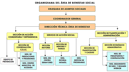 ORGANIGRAMA