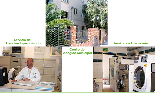 PROGRAMA DE ACOGIDA