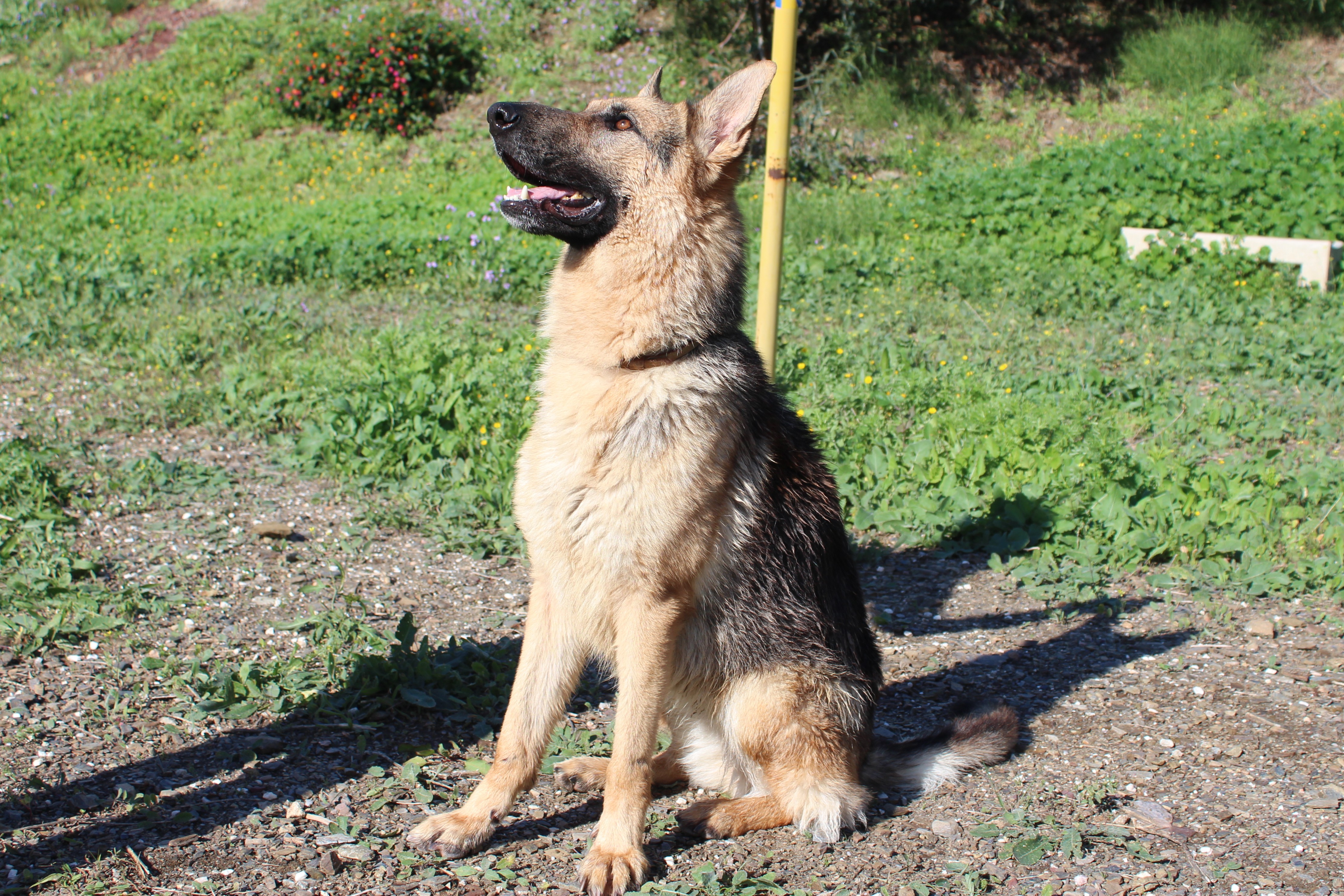 HERA (N3 APT2)