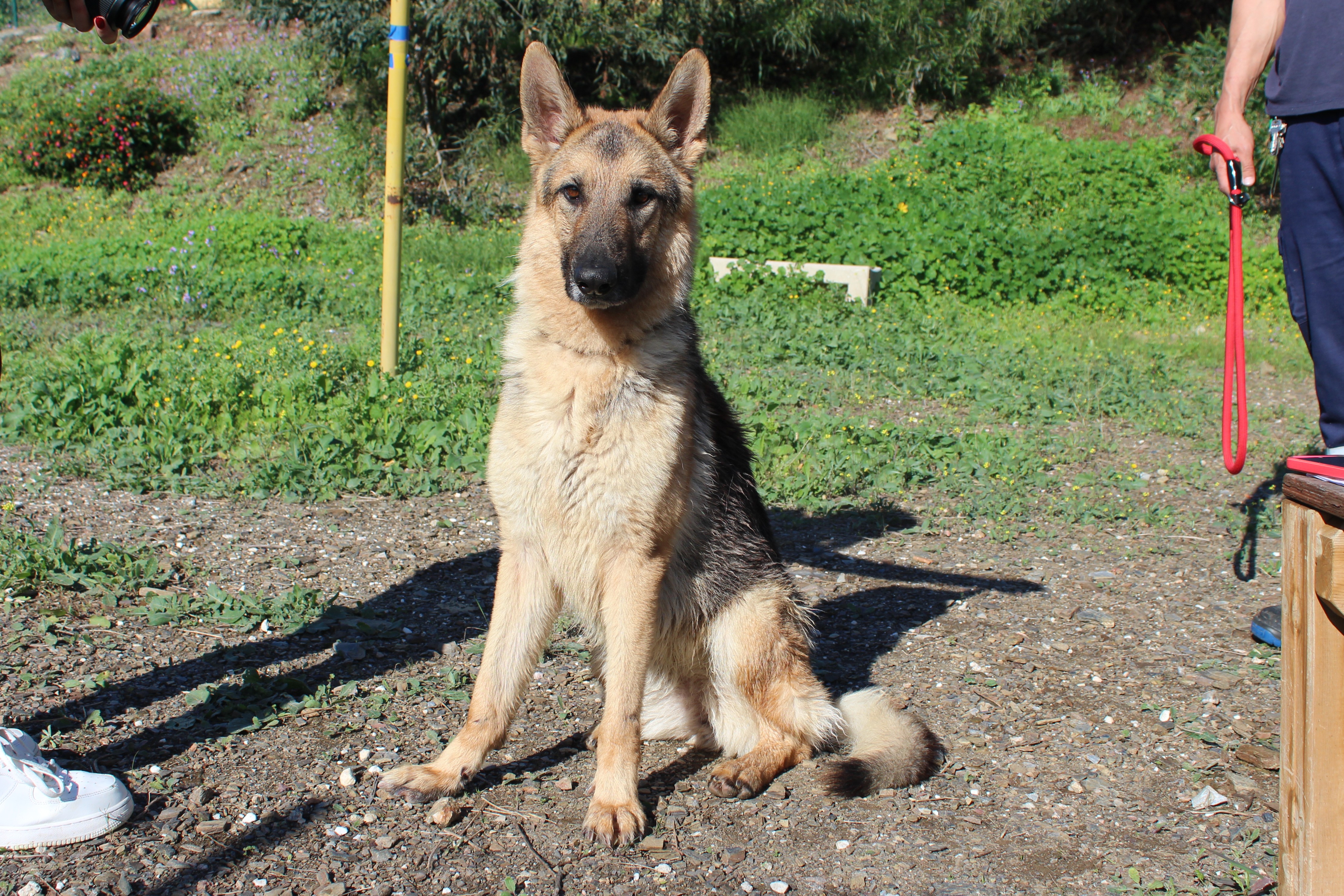 HERA (N3 APT2)