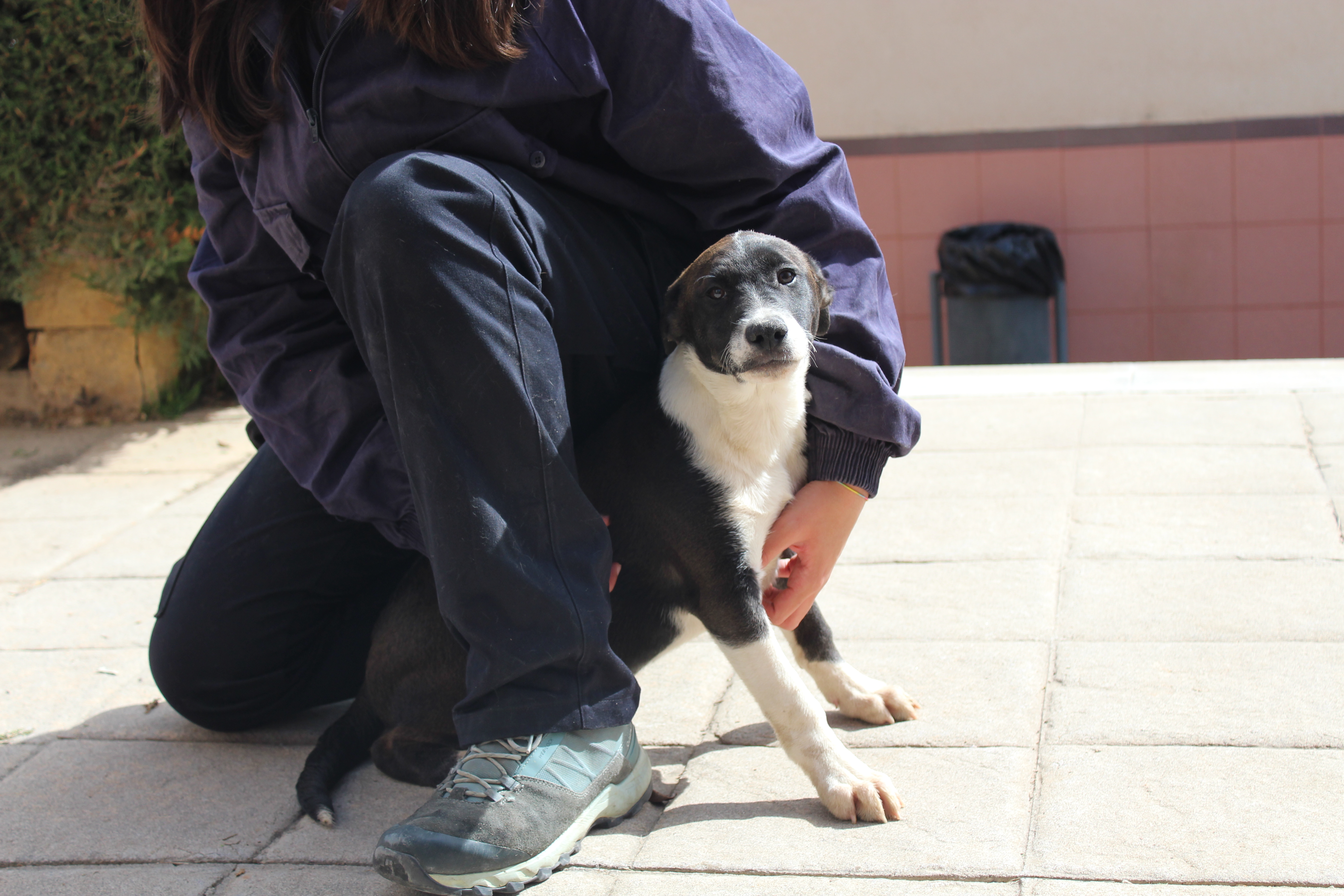 OREO (APT17)