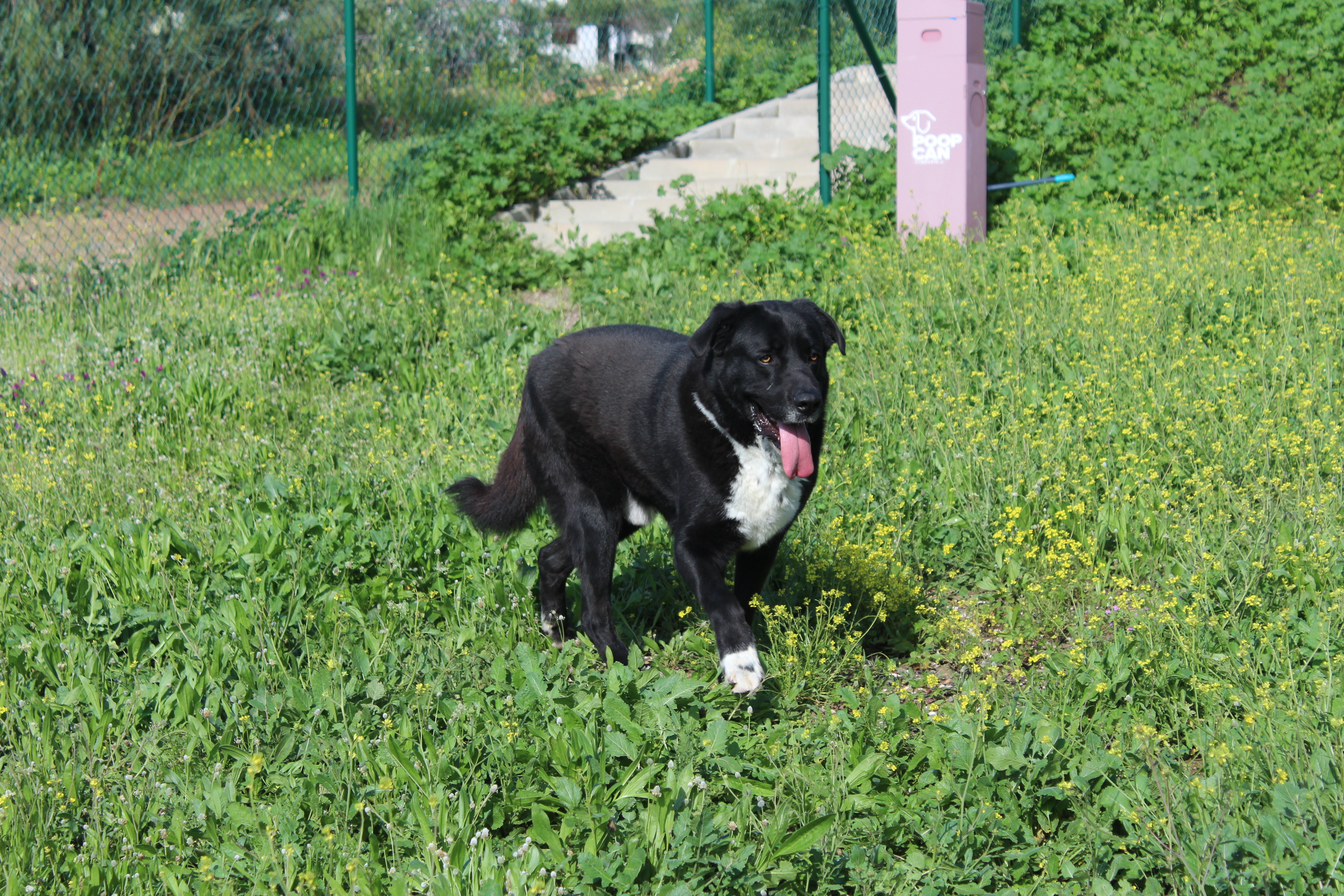 PANDA (N3 APT27)