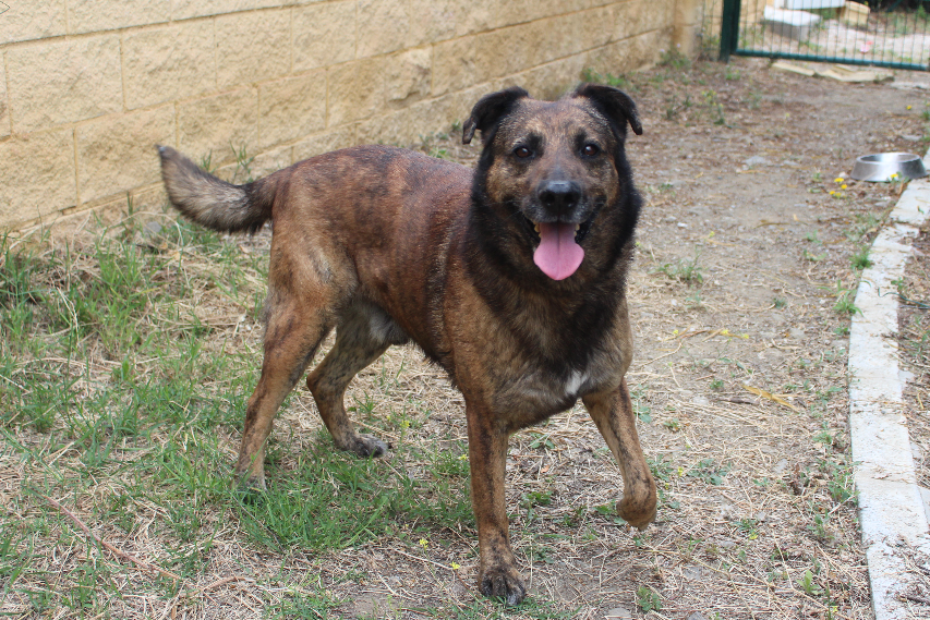 RONNY (N3 APT24)