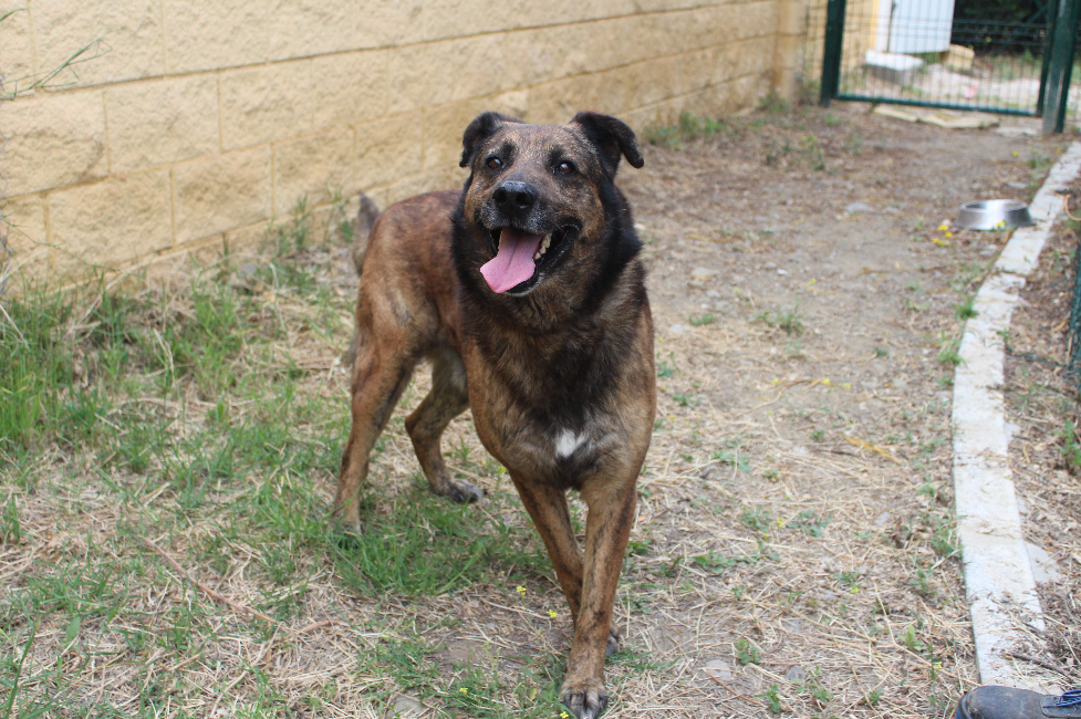 RONNY (N3 APT24)