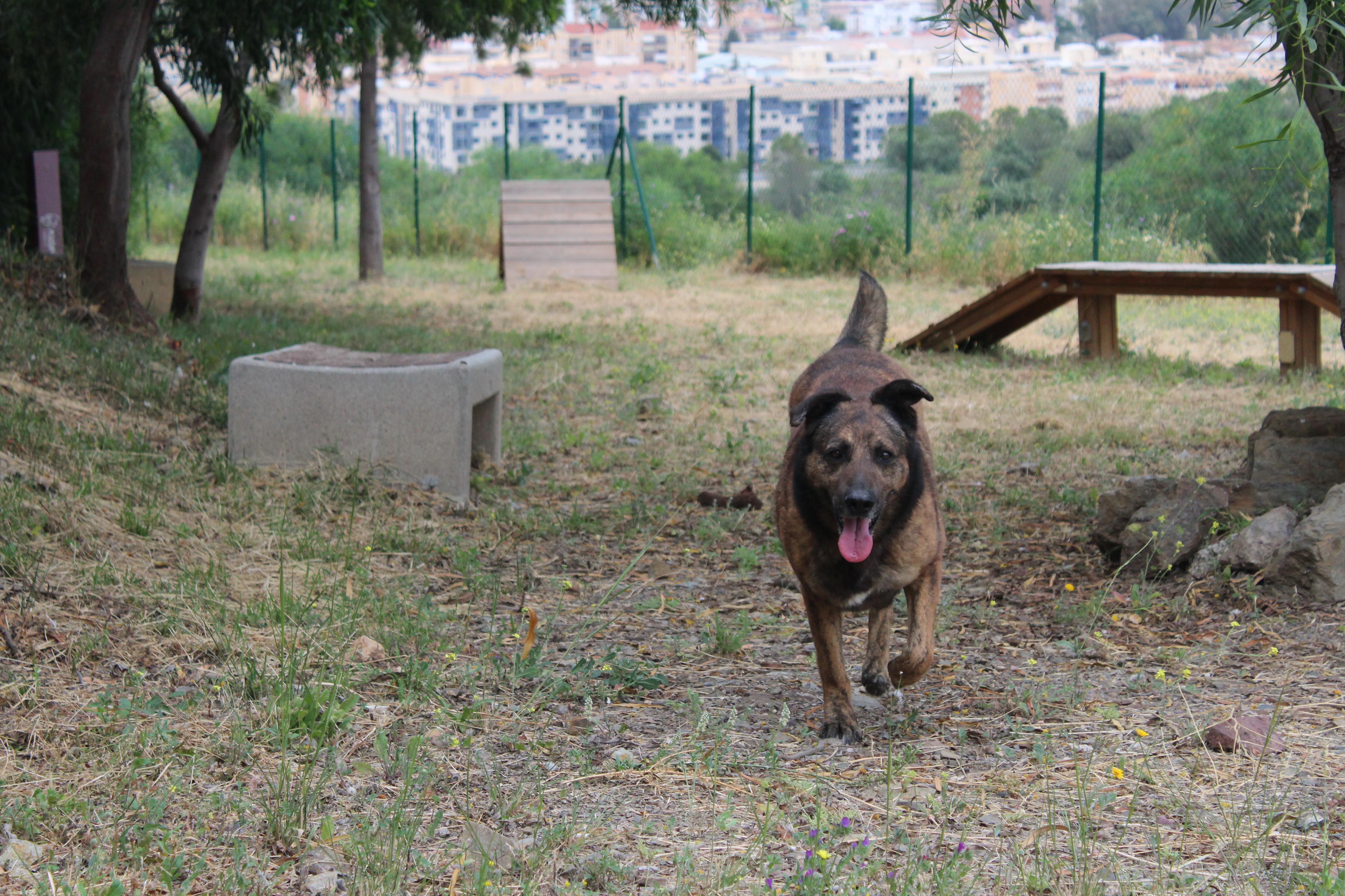 RONNY (N3 APT24)