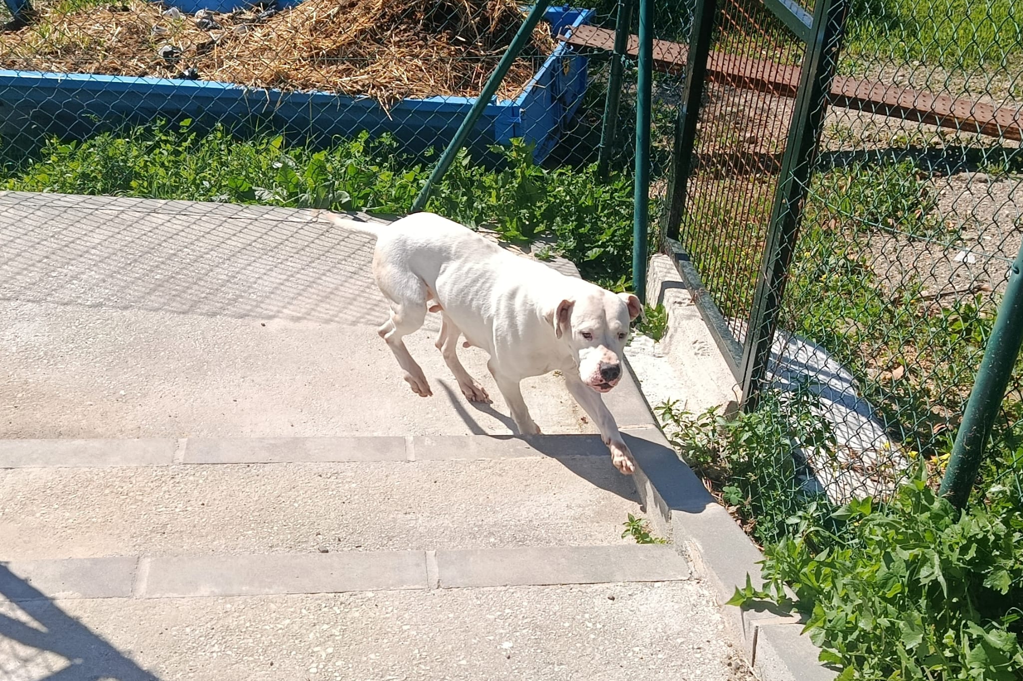 FLORENCIA (N1 APT38)