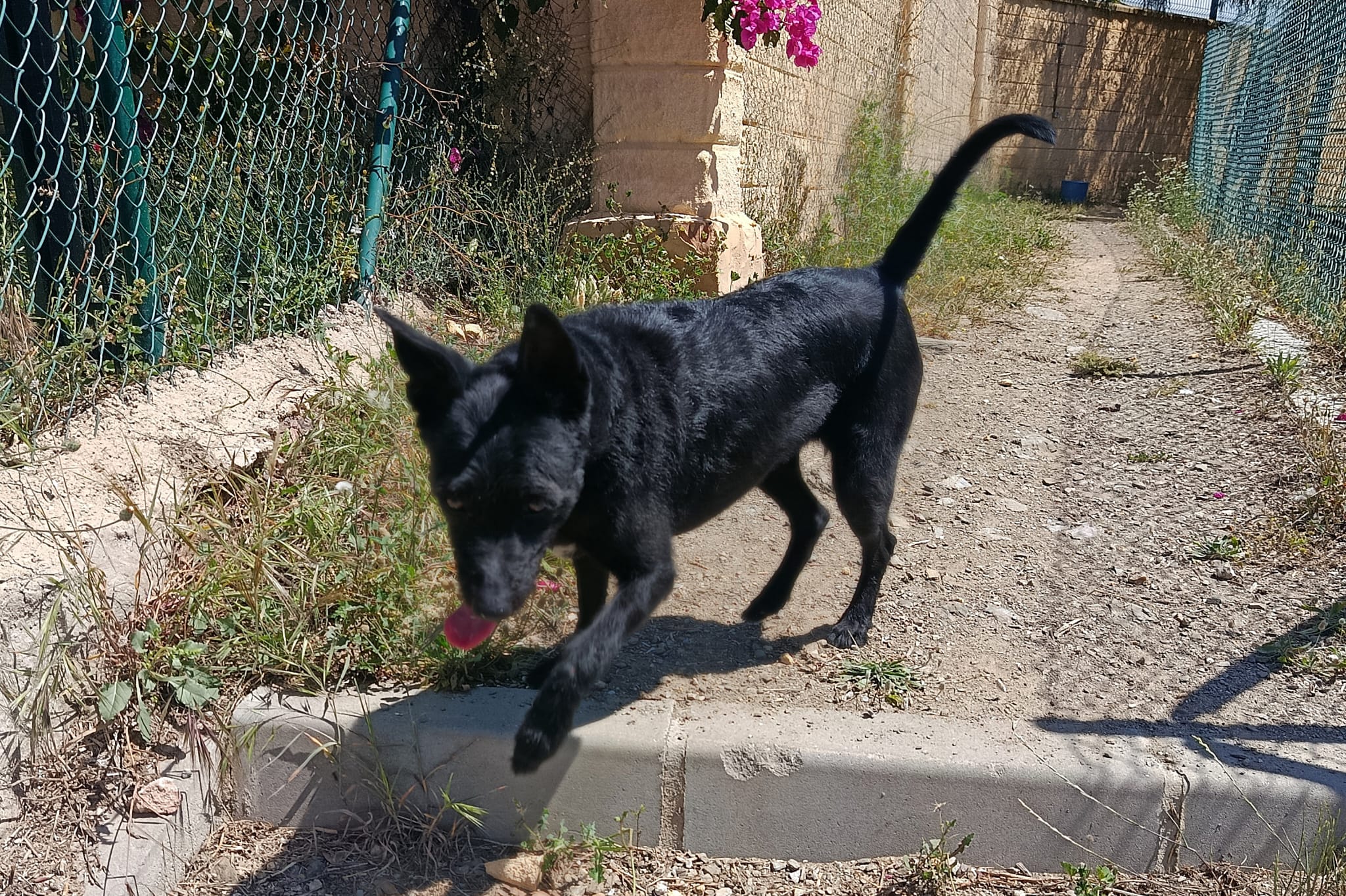 LUNA (N1 APT39)