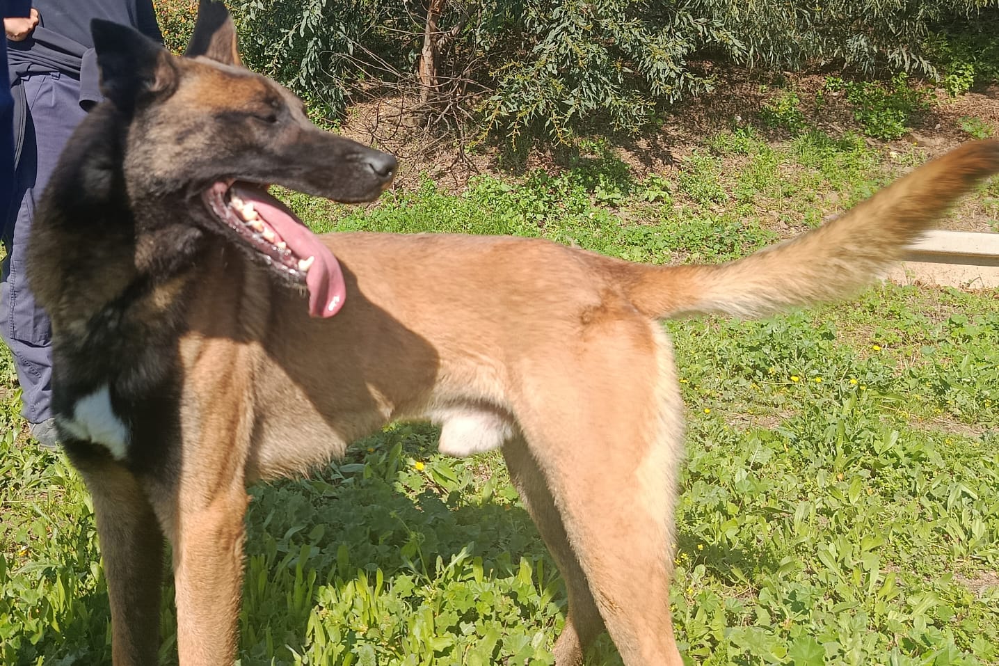 TANGO (N2 APT2)