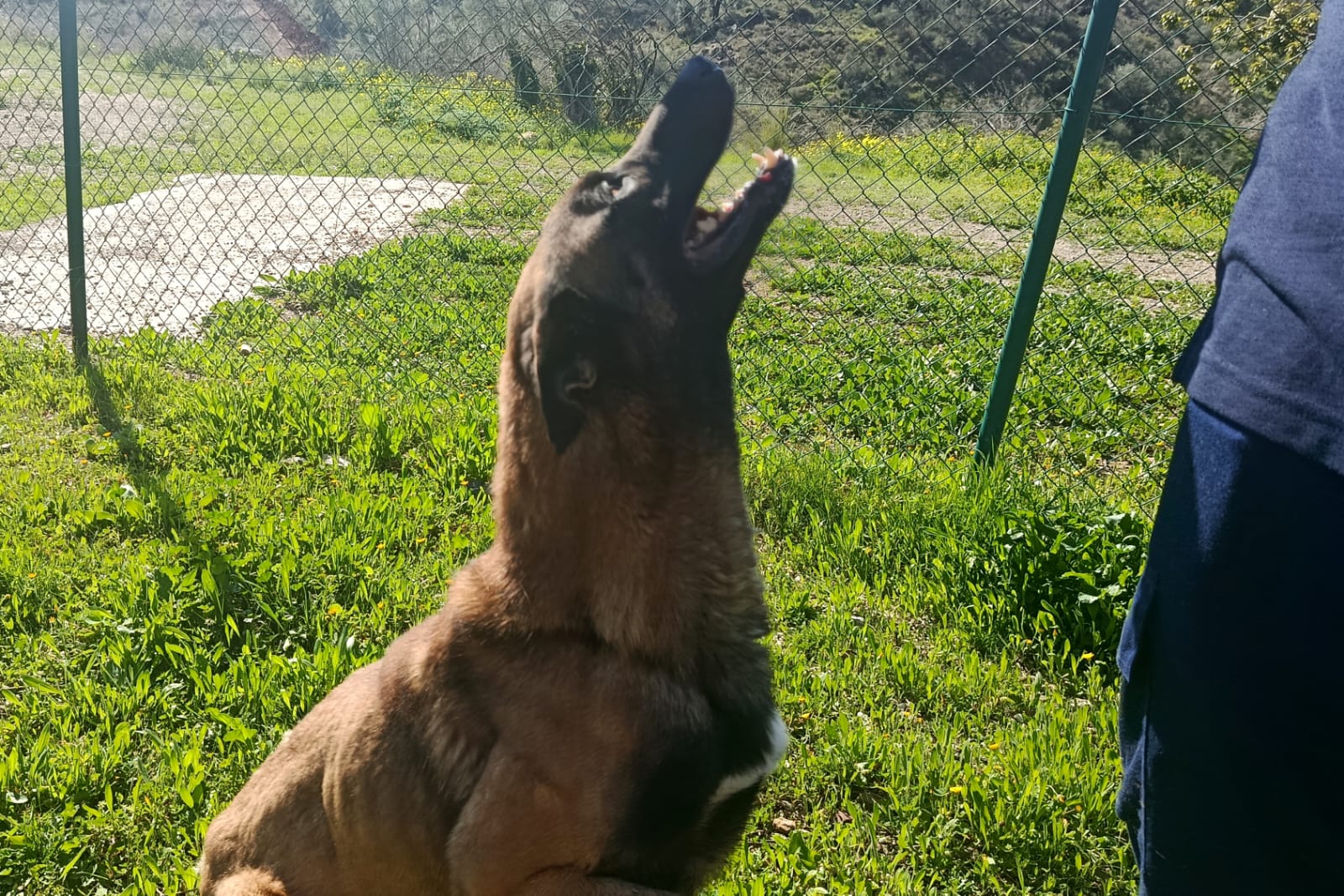 TANGO (N2 APT2)
