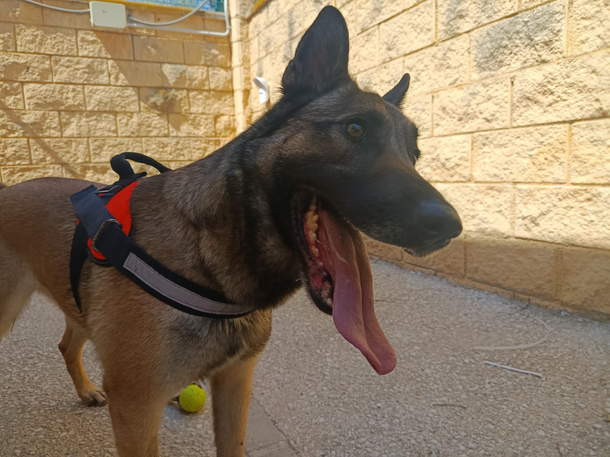 NALA (N3 APT32)