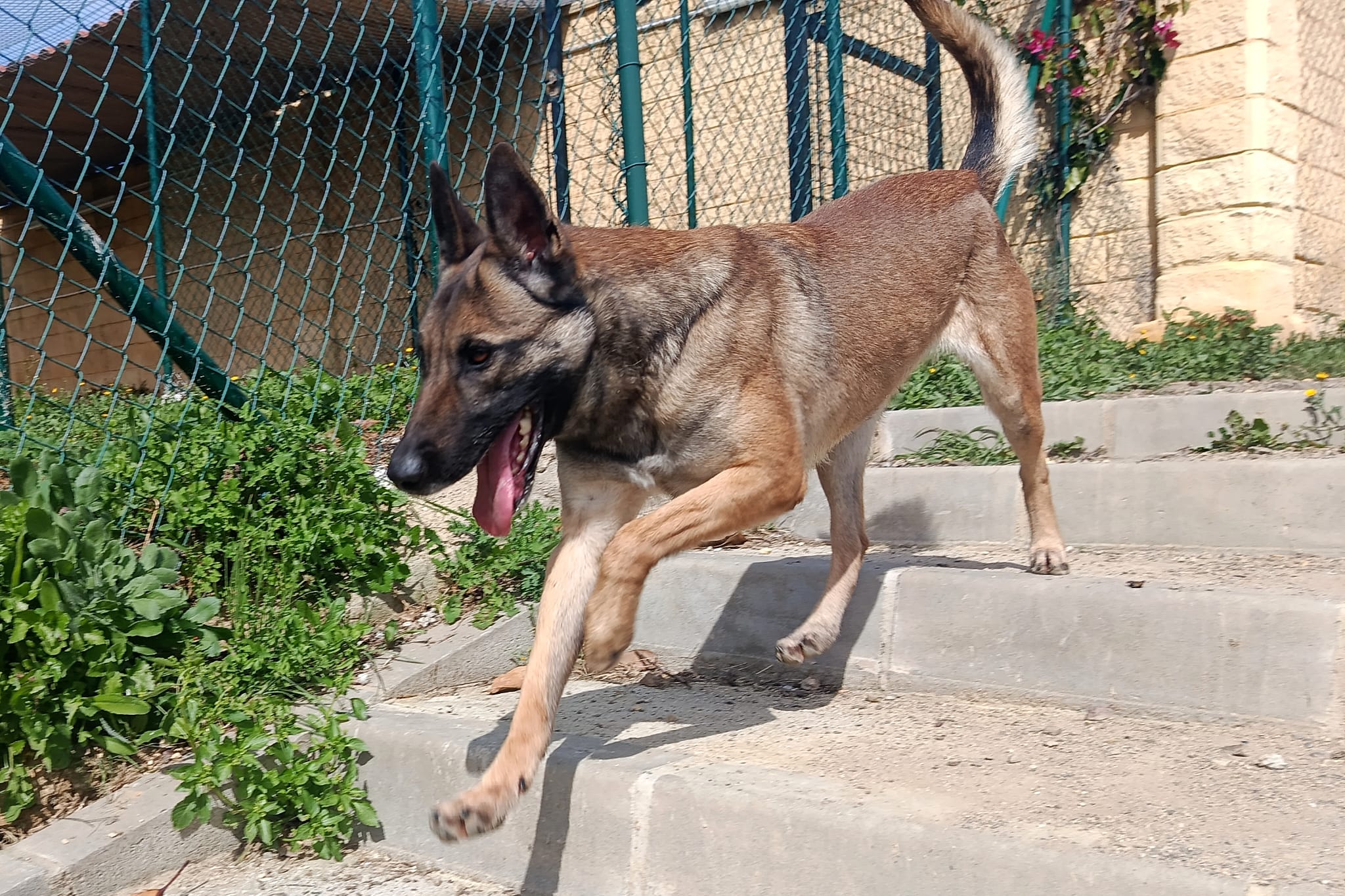 NALA (N3 APT32)