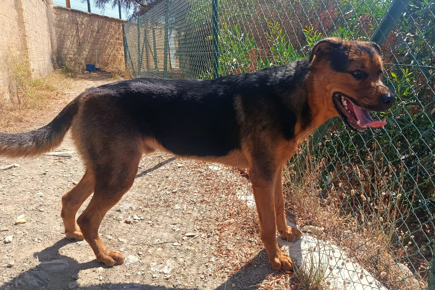 ZEUS (N1 APT20)