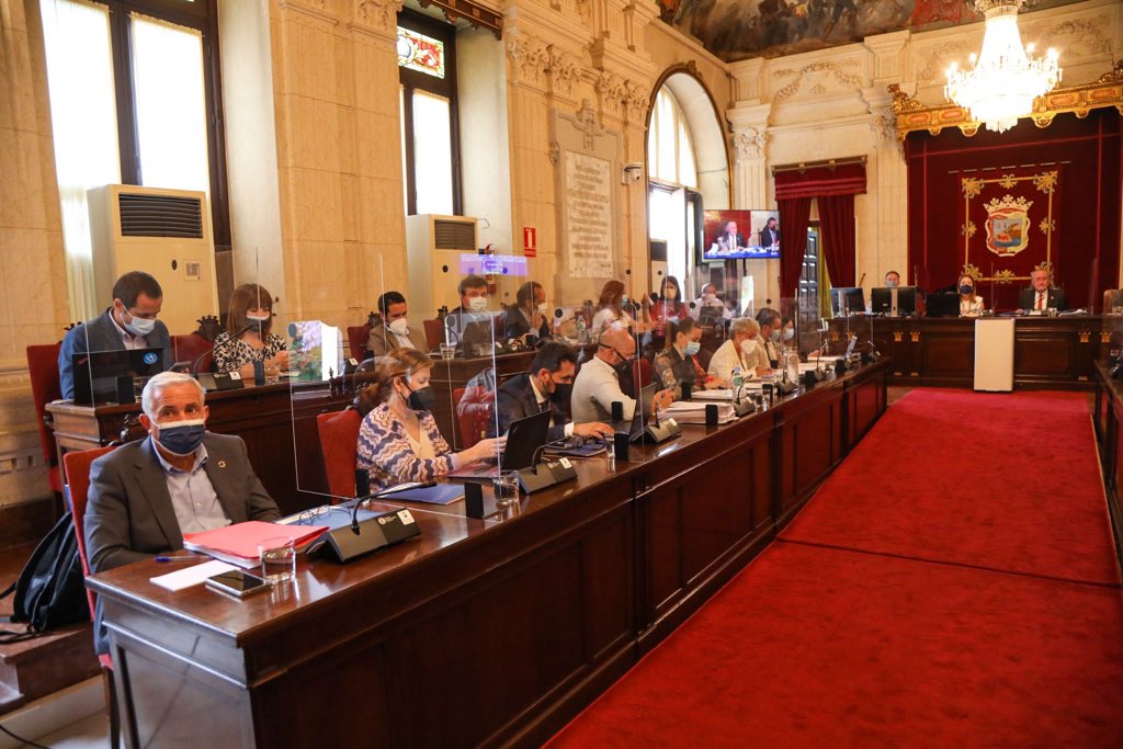 COVID-19 619 / EL PLENO MUNICIPAL APRUEBA SOLICITAR LA CONCESIÓN DE LAS MEDALLAS AL MÉRITO A ...