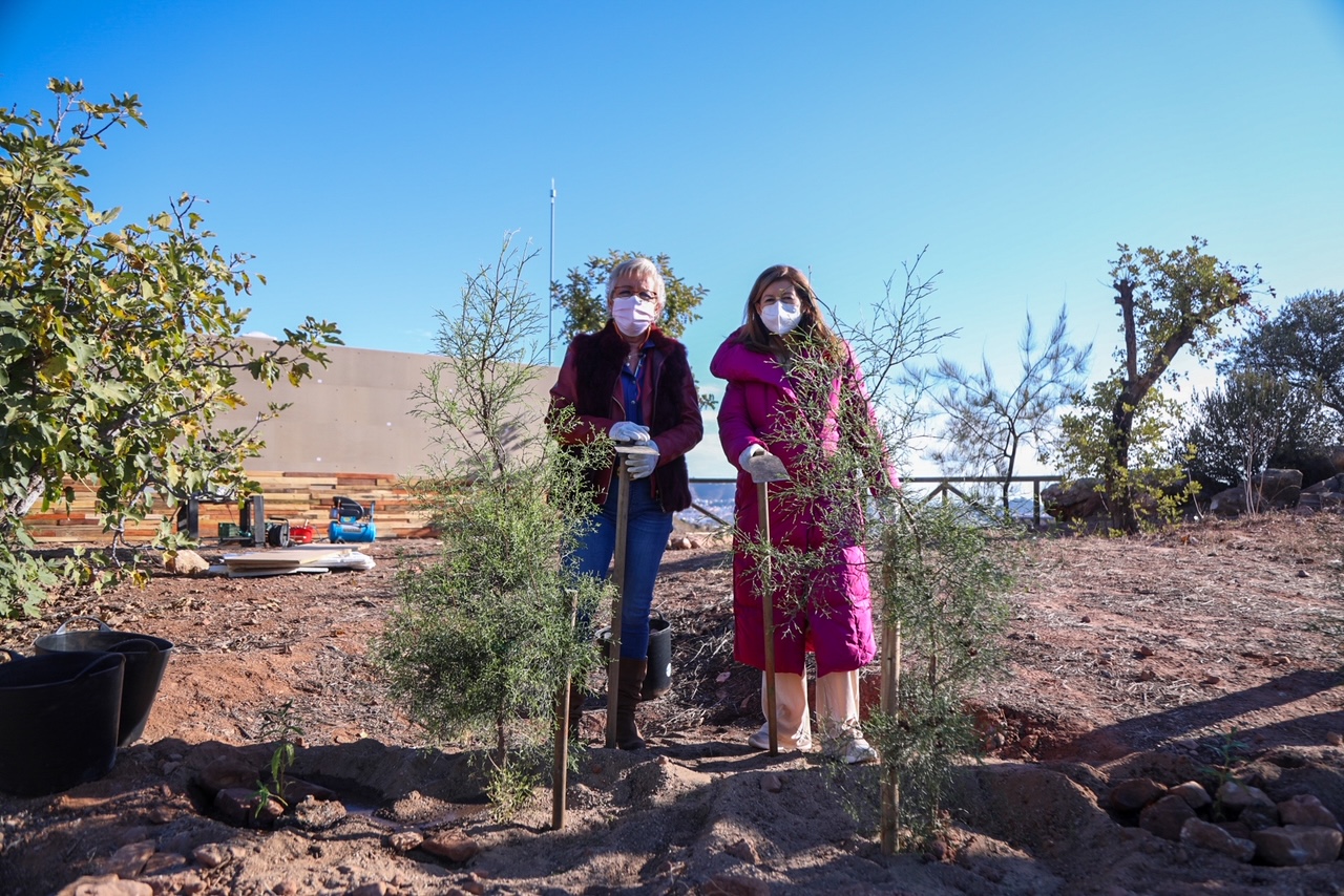 ARRANCA UNA CAMPAÑA DE REFORESTACIÓN CON LA PARTICIPACIÓN DE LOS CENTROS ESCOLARES DE LA CIUDAD