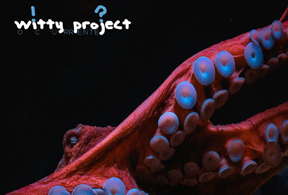 LA CAJA BLANCA ACOGE LA MUESTRA ‘WITTY PROYECT’ DENTRO DEL PROGRAMA DE AYUDAS A LA PRODUCCIÓN CULTURAL 
 
 (Abre en ventana nueva)