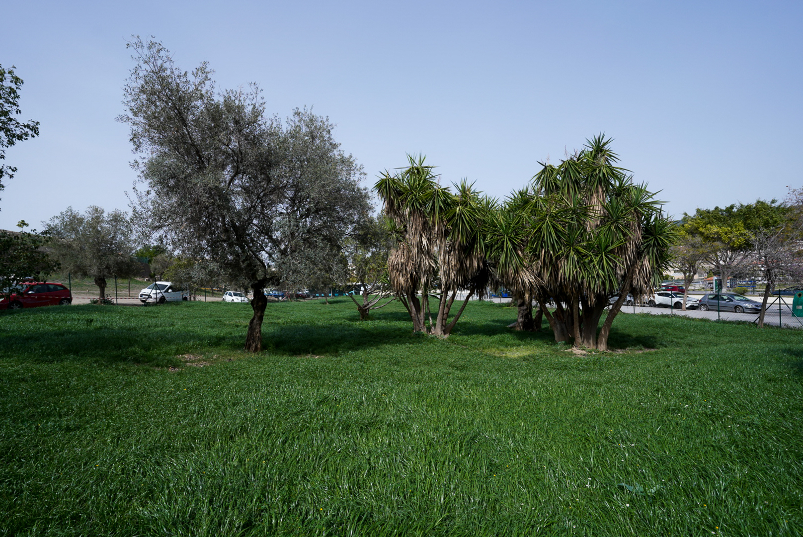 MÁLAGA, CIUDAD PILOTO DEL PROYECTO LIFE LUNGS PARA CREAR ESPACIOS VERDES MÁS ADAPTABLES AL ...