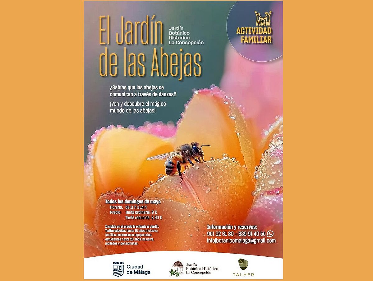 Actividad familiar en La Concepción: el mundo de las abejas