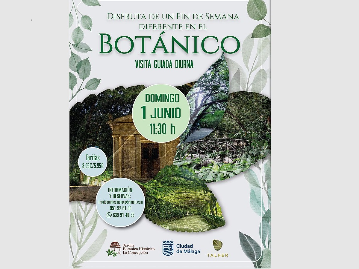 En junio, Visitas guiadas diurnas en grupo en La Concepción