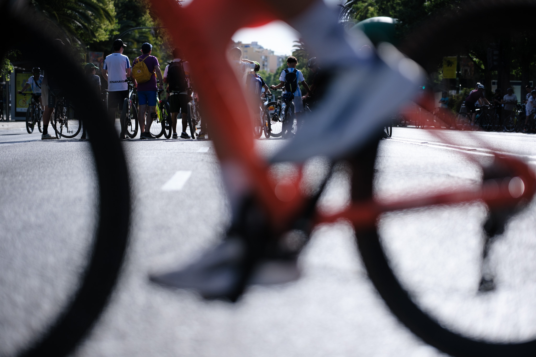 Celebración del XVIII Día de la Bici Ciudad de Málaga (Abre en ventana nueva)