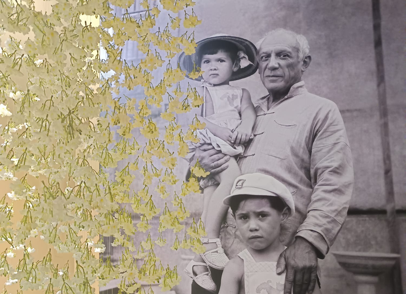MÁS DE UN CENTENAR DE OBRAS DE PICASSO DESEMBARCAN EN CHINA PARA LA BIENAL INTERNACIONAL DE ...