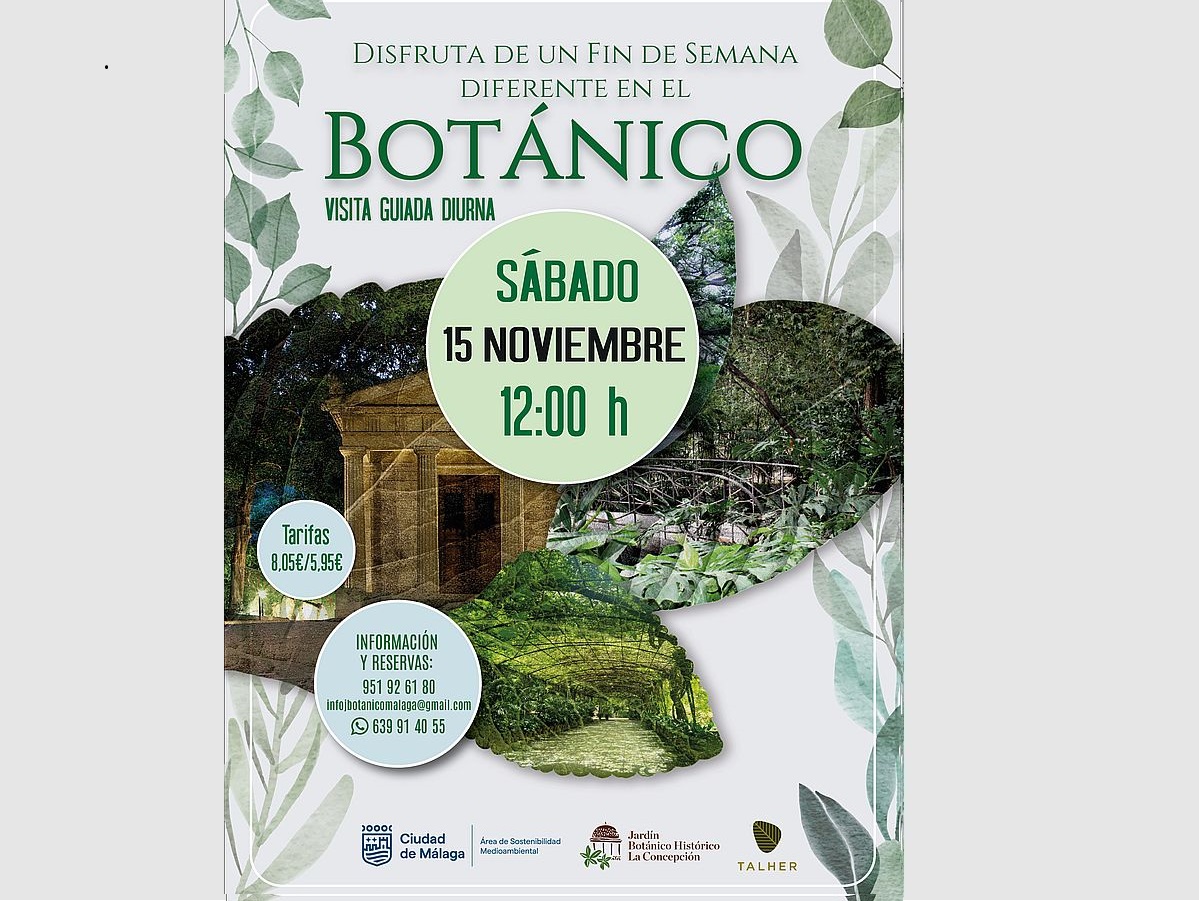 Visitas diurnas 