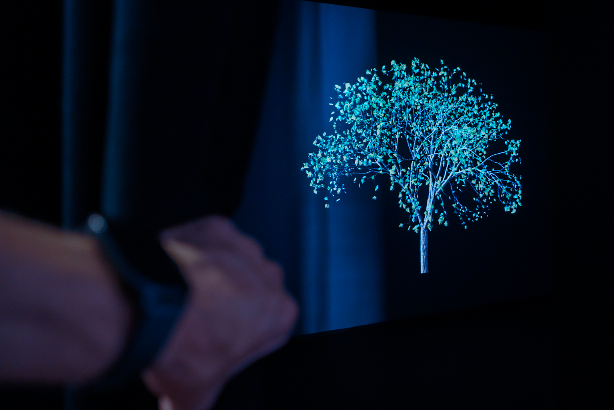 El MUCAC La Coracha proyecta la obra ‘Devish 8’ de la artista estadounidense Jennifer Steinkam (Abre en ventana nueva)