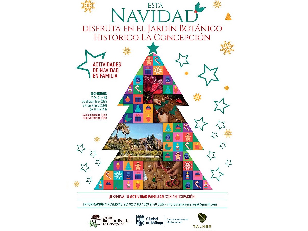 Actividades Familiares Navideñas en La Concepción