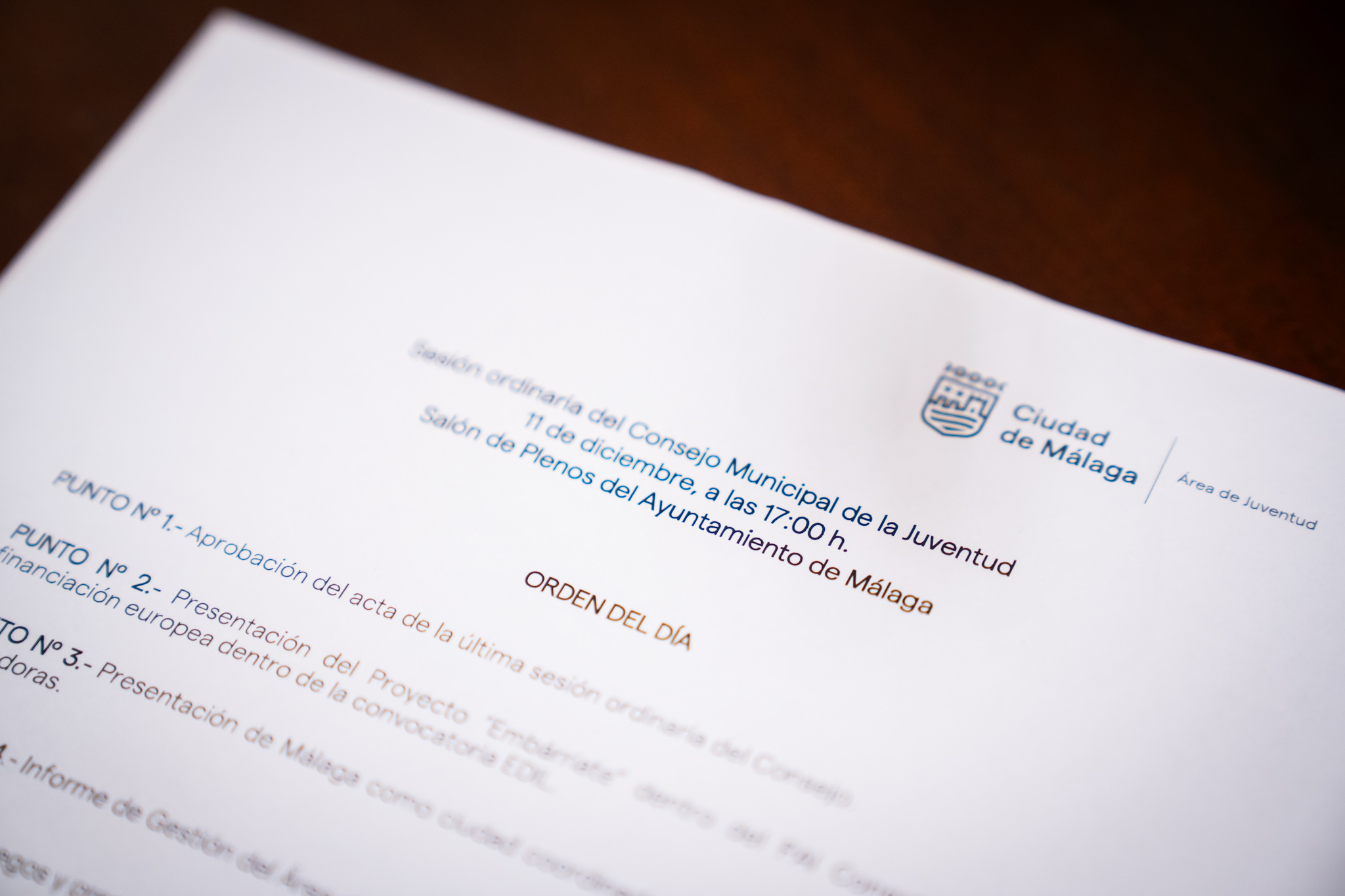 Consejo Municipal de la Juventud (Abre en ventana nueva)