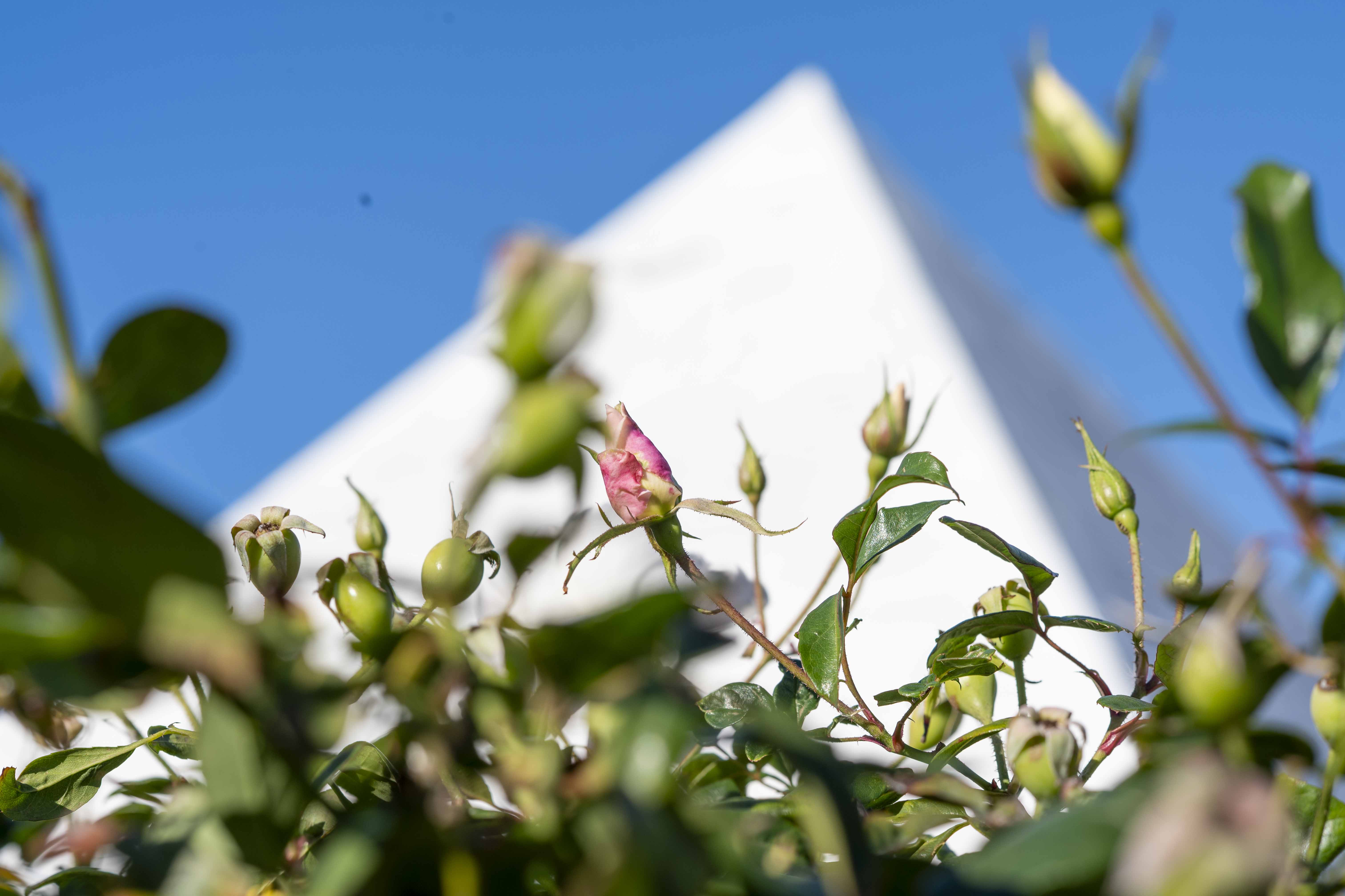 Homenaje institucional ante el Panteón de la Memoria Histórica