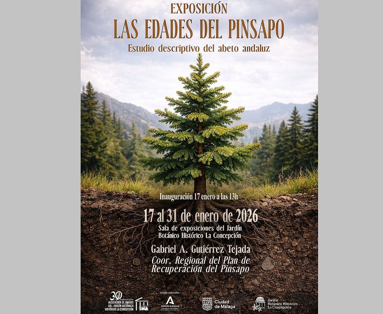 Exposición en La Concepción: Las edades del pinsapo