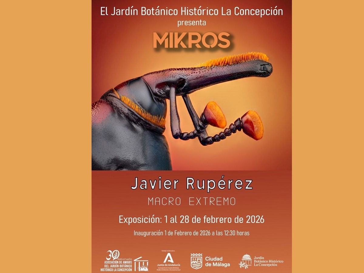 Exposición de fotografías de Javier Rupérez en La Concepción: Mikros