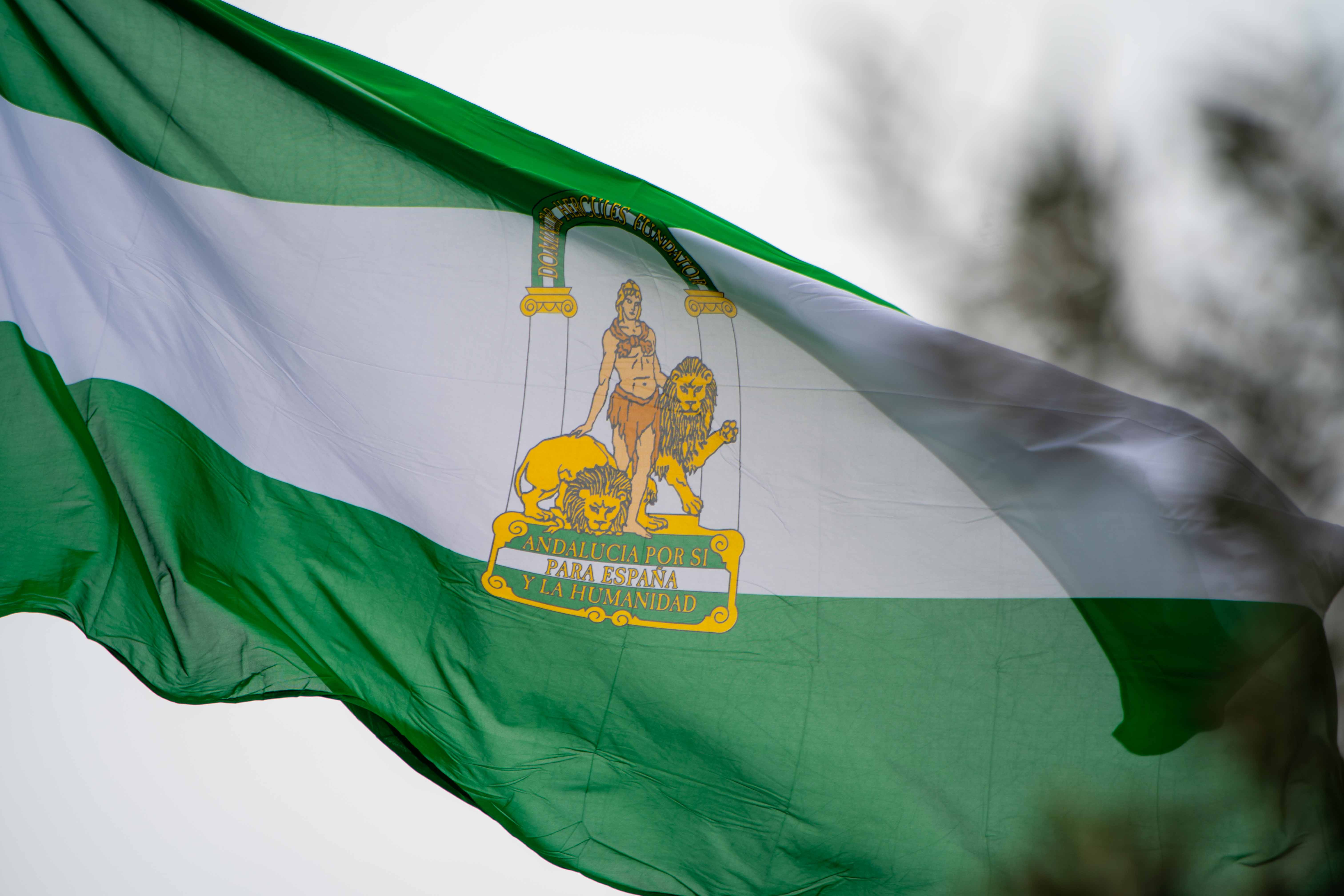 Acto institucional con motivo del Día de Andalucía