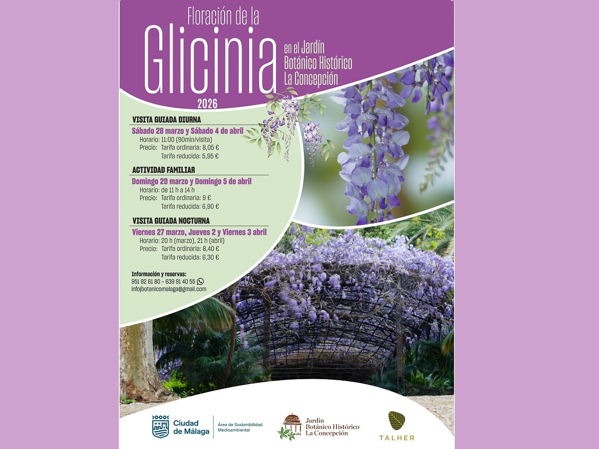 Actividades especiales por la floración de la glicinia en La Concepción