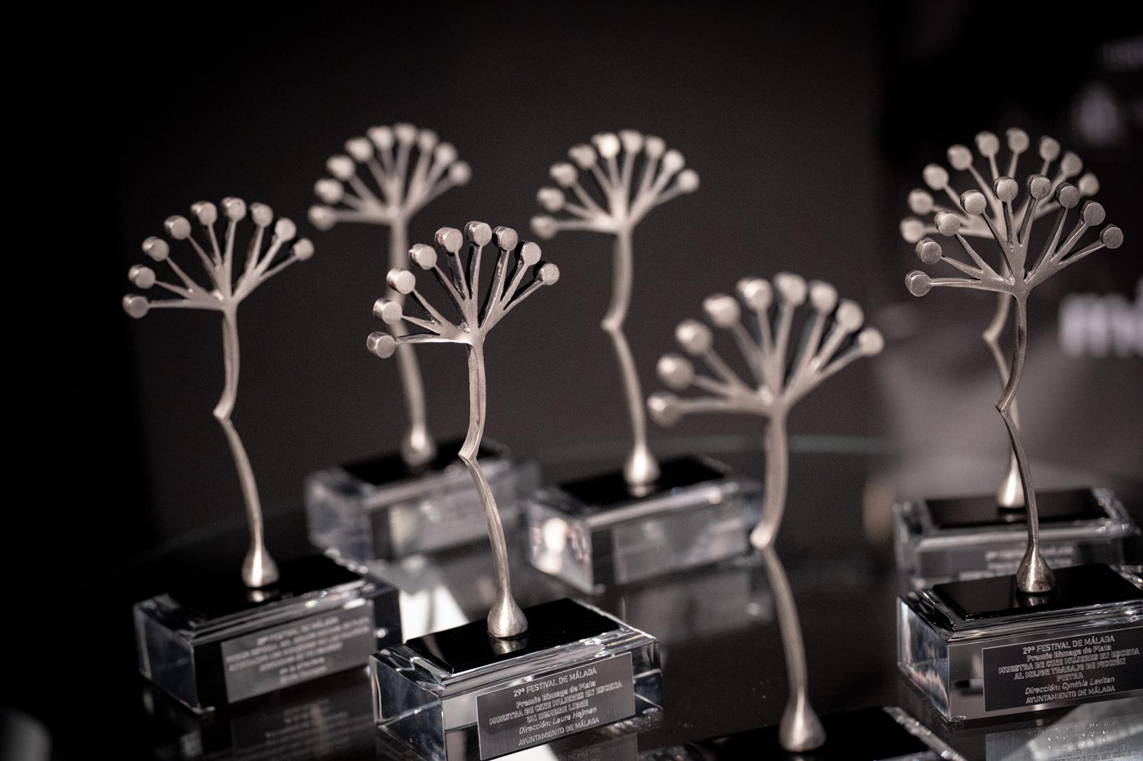 ‘Llamarse Olimpia’ ganadora del Primer Premio del ciclo Afirmando los Derechos de las Mujeres en el
29 Festival de Málaga