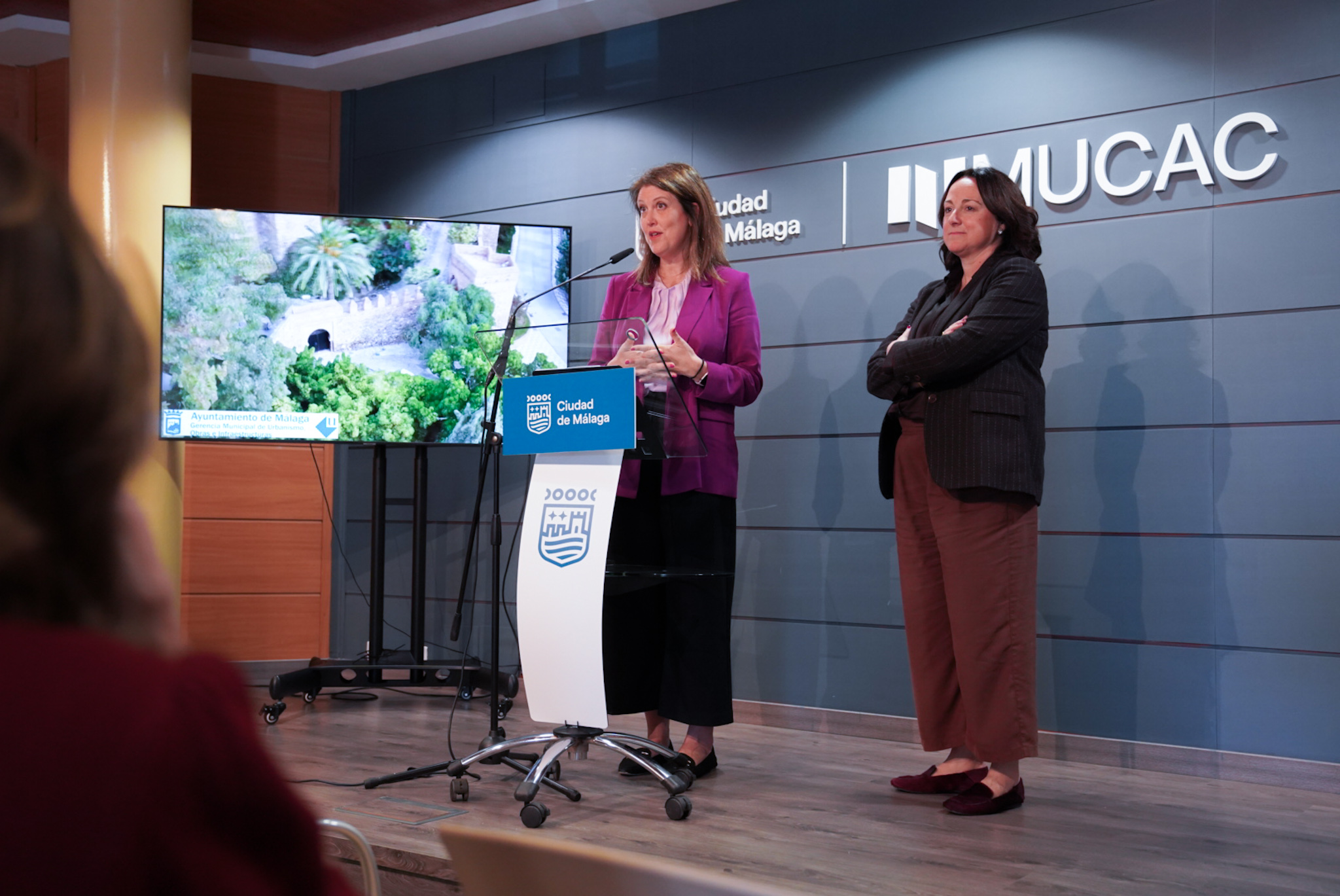 El Ayuntamiento finaliza el modelado en 3D georreferenciado de la Alcazaba y Gibralfaro y el ...