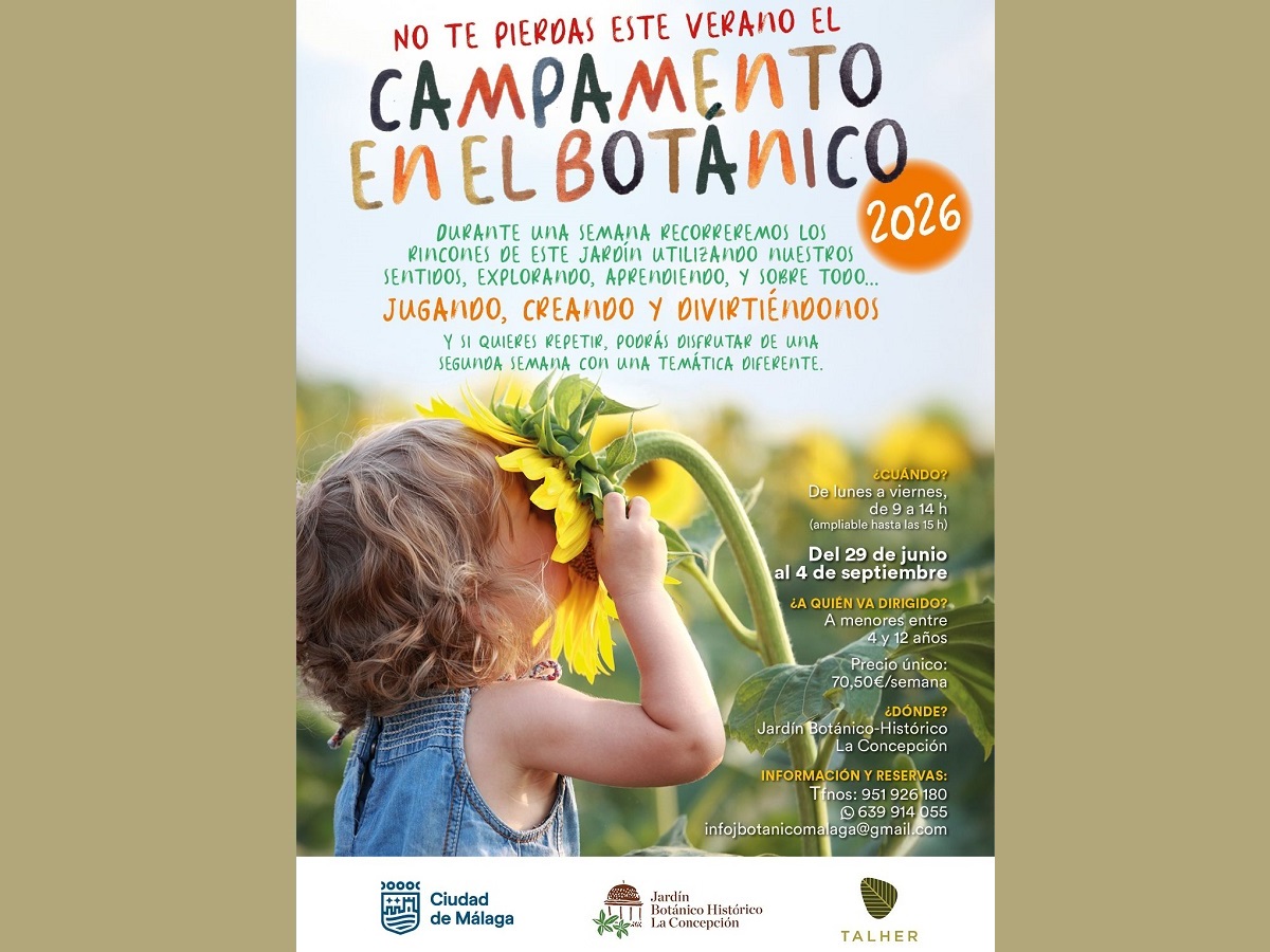 Campamento infantil verano 2026 en La Concepción