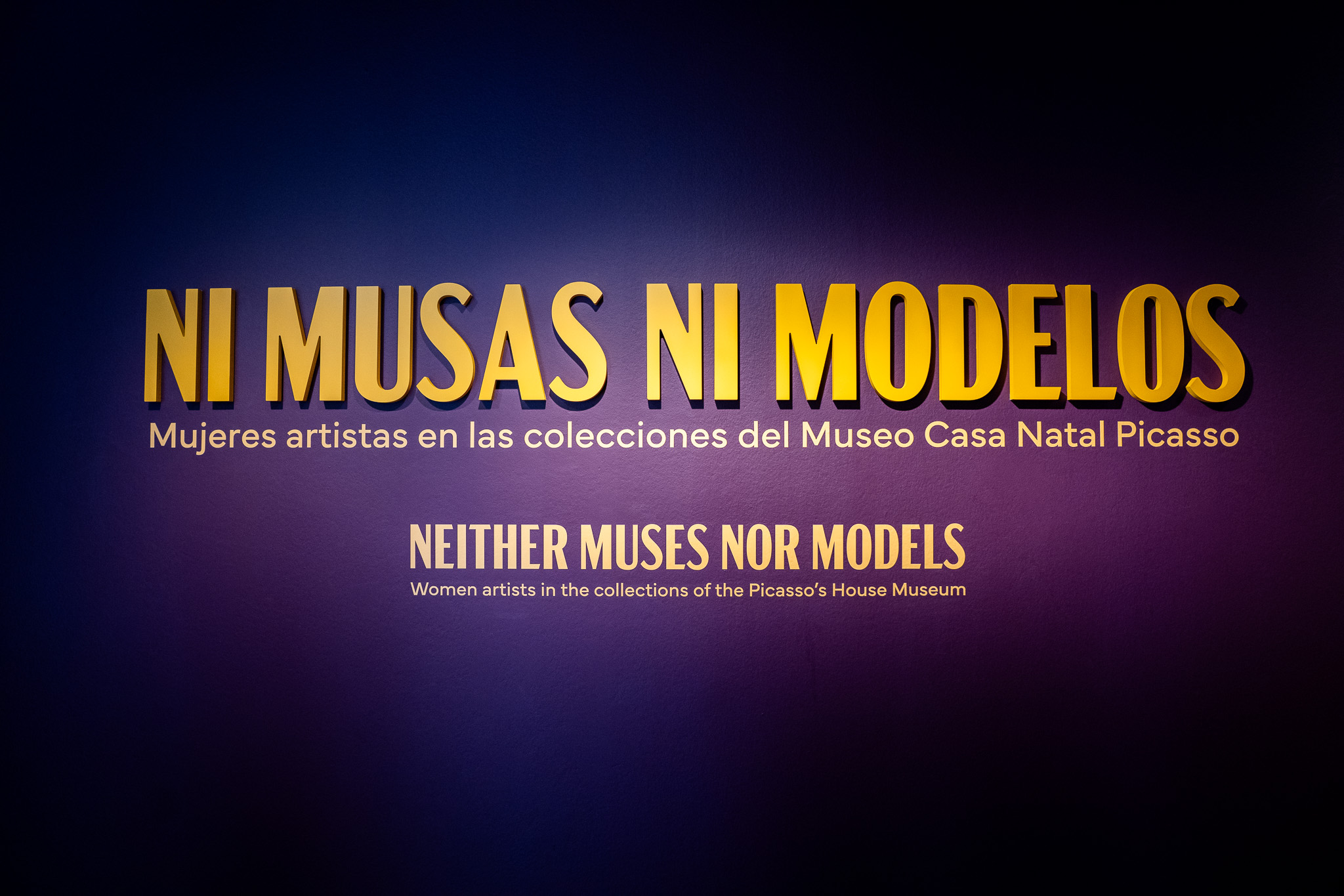 El Museo Casa Natal Picasso visibiliza a las mujeres artistas de su propia colección en ‘Ni ...