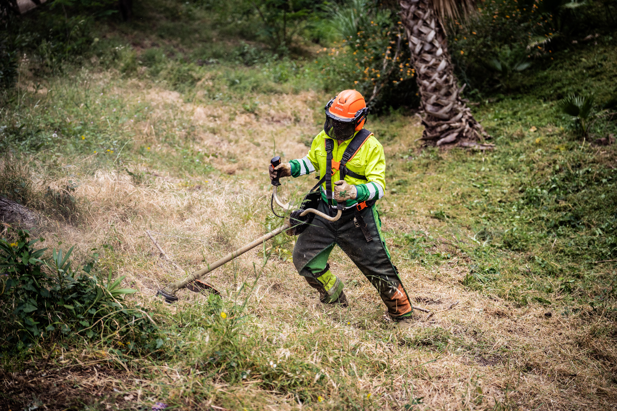 El Ayuntamiento acomete trabajos de prevención de incendios en los parques forestales y ...