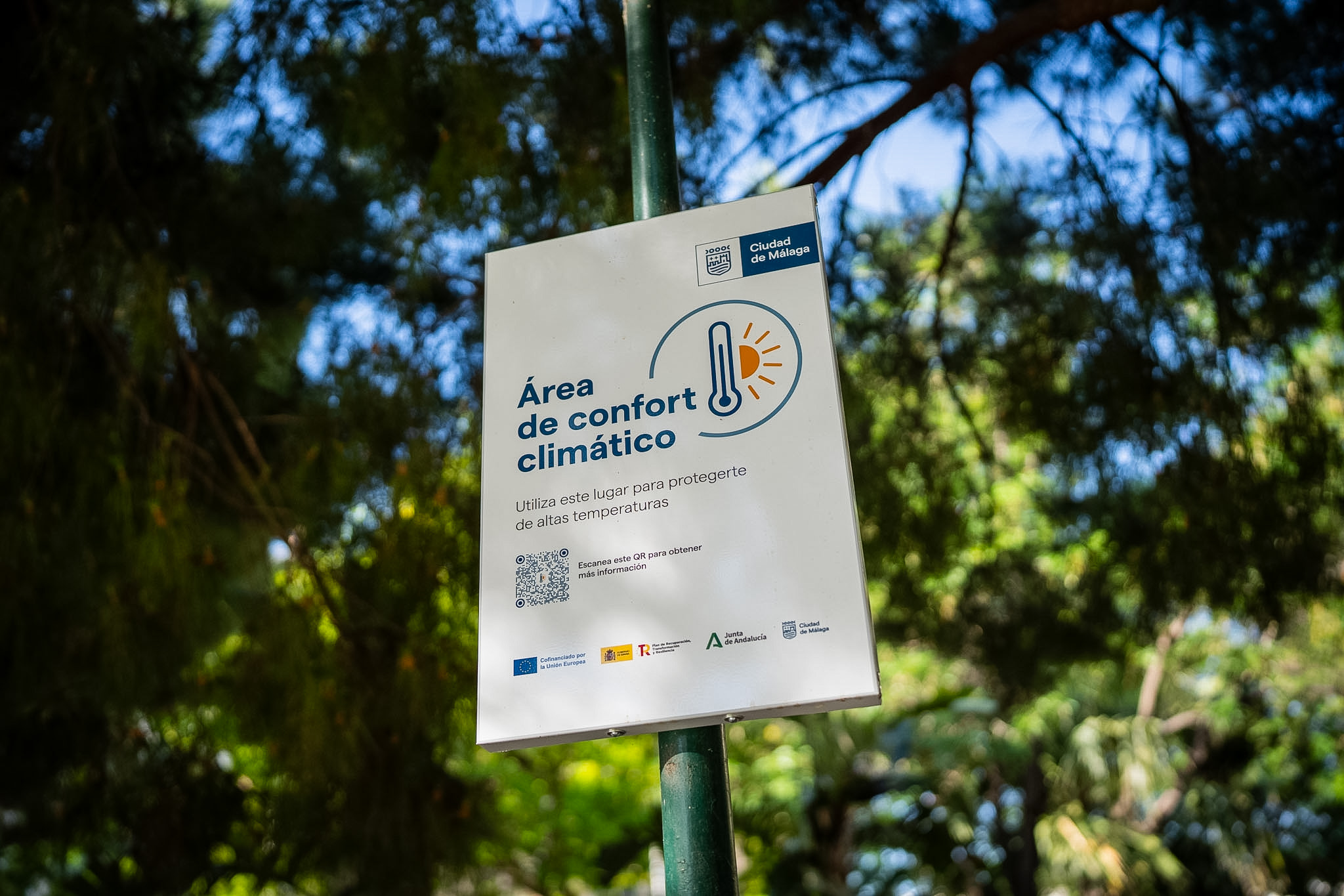 El Ayuntamiento invita a instituciones públicas y entidades privadas a incorporar sus ...