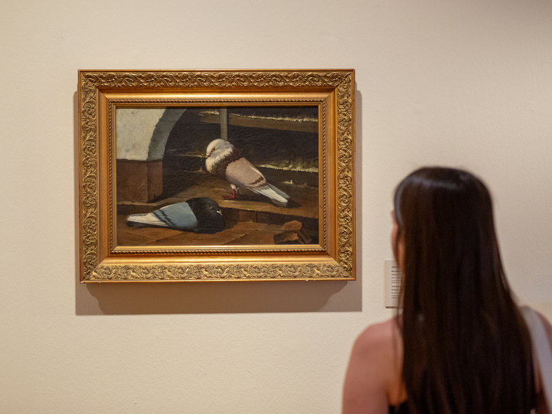 EL MUSEO CASA NATAL PICASSO INCORPORA A SU COLECCIÓN UNA NUEVA PINTURA DE JOSÉ RUIZ BLASCO