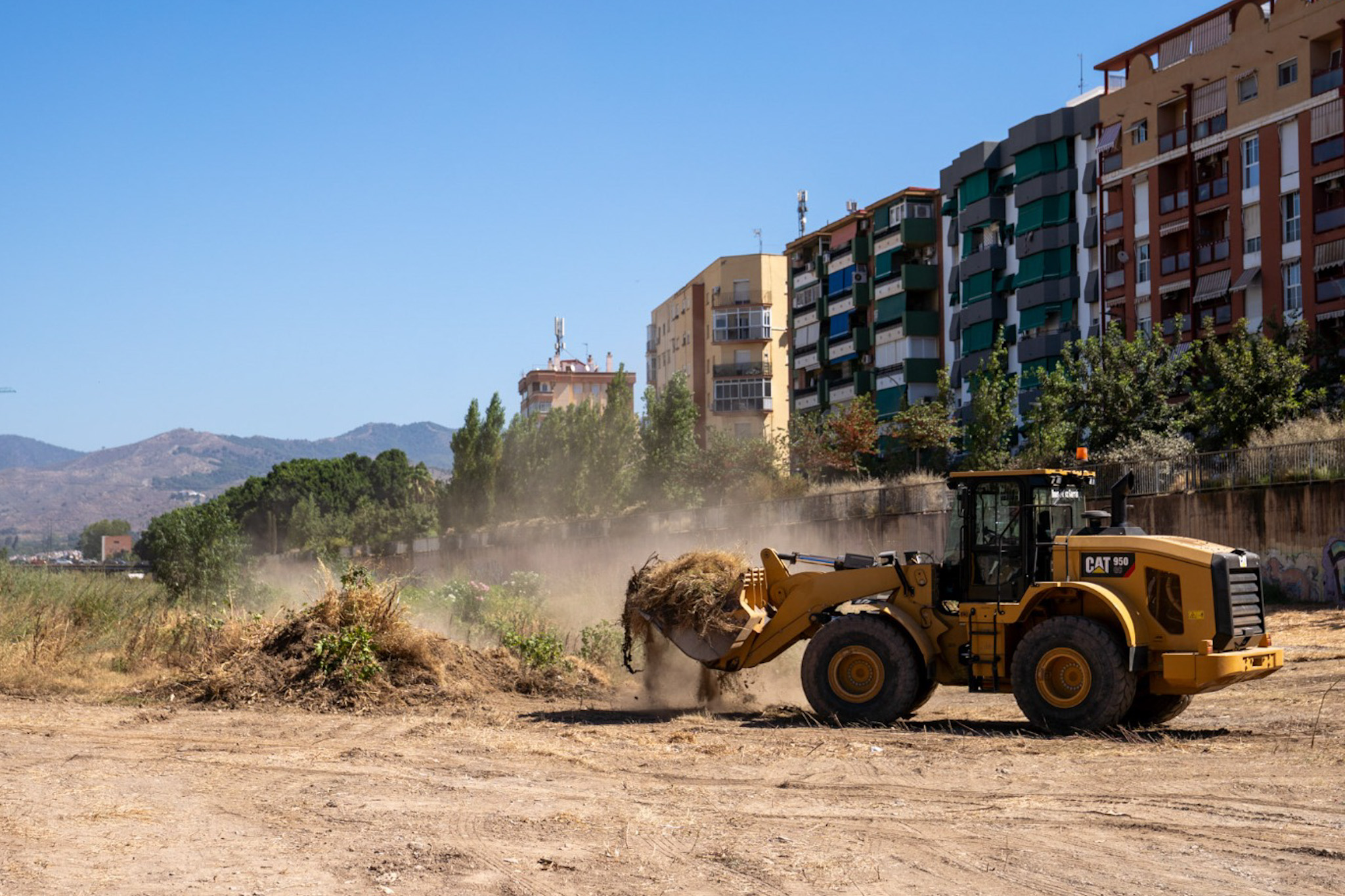 El Ayuntamiento actúa en más de 200 puntos de ríos y arroyos en el marco del plan de limpieza ...