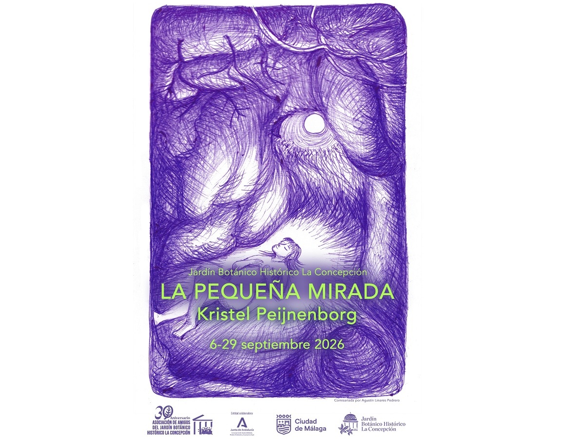 Exposición en La concepción: La pequeña mirada